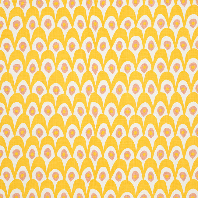 Circus White/Yellow