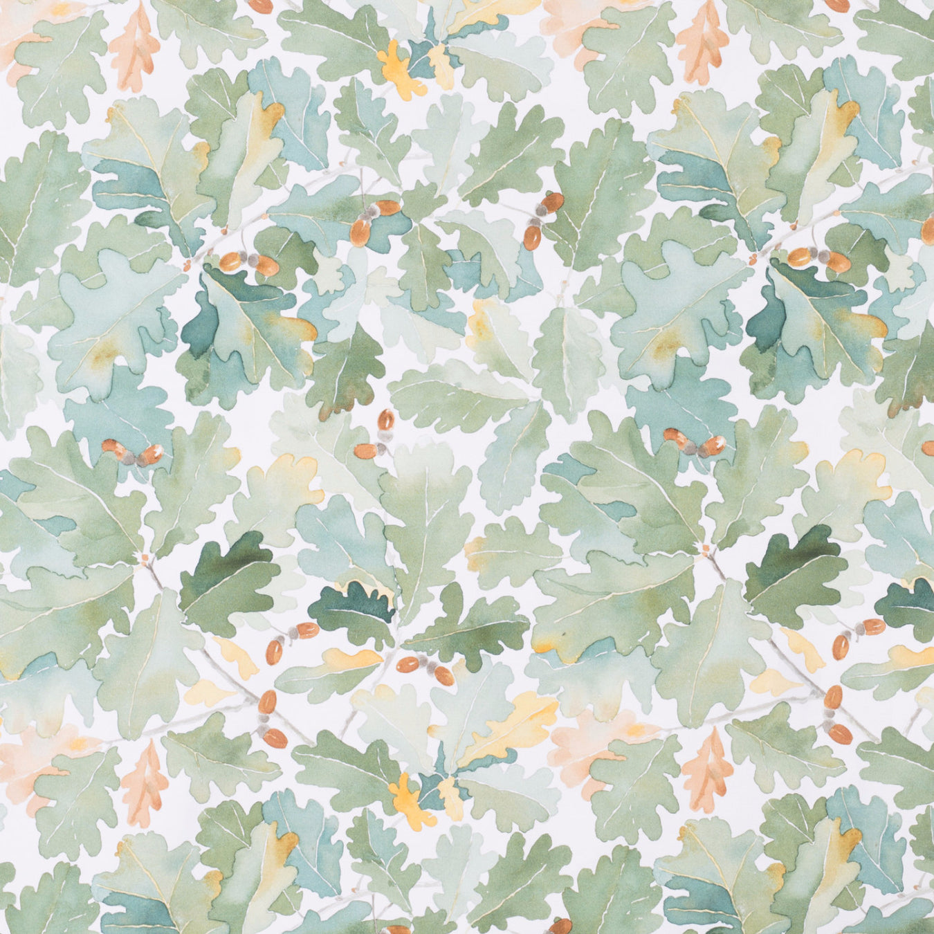 Boras Cotton