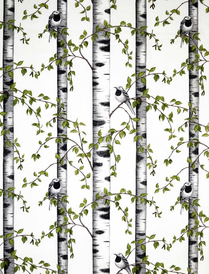 Birch Grove White